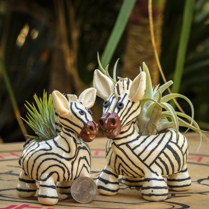 Zebra - Pair - Image 2