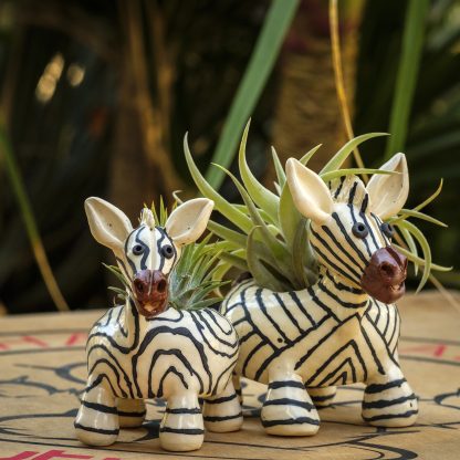 Zebra - Pair