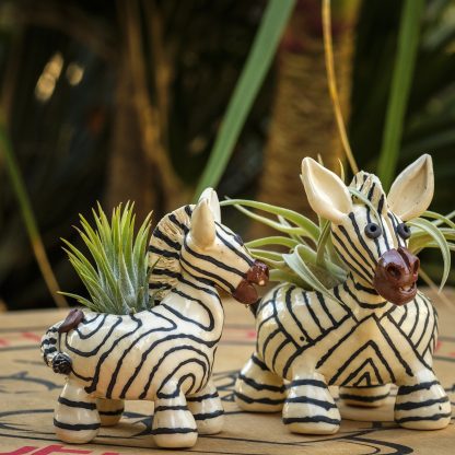 Zebra - Pair - Image 4