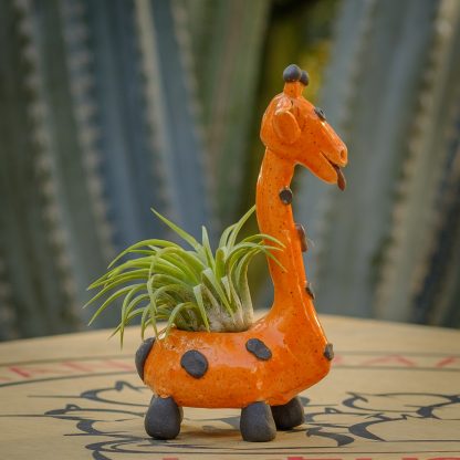 Giraffe - Pair Orange - Image 11