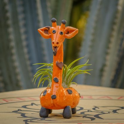 Giraffe - Pair Orange - Image 14