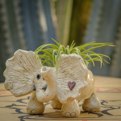 Elephant - White - Image 6