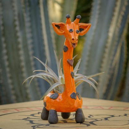 Giraffe - Pair Orange - Image 4