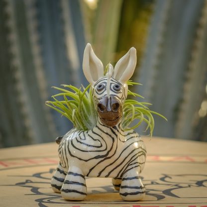 Zebra 2025 - Image 7