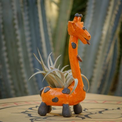 Giraffe - Pair Orange - Image 5